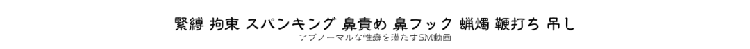 緊縛 拘束 スパンキング 鼻責め 鼻フック 蝋燭 鞭打ち 吊し アブノーマル動画